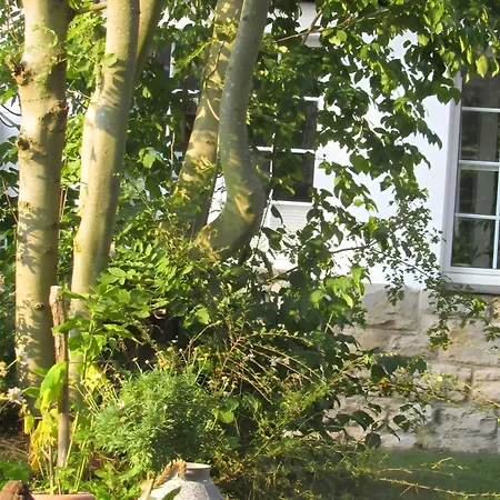 Apartment Alte Schule Altefeld
